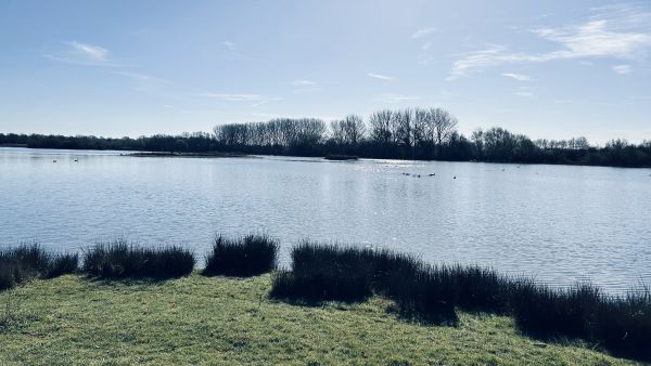 Nature reserve